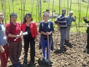 Tarlada Çalışan Kadınlara Anneler Günü Kutlaması