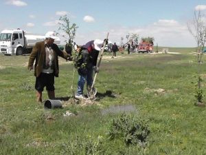 Kulu’da Fidan Dikimi