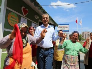 Başkan Tarhan, Kadın Üretici Pazarı’nda Annelerle Halay Çekti