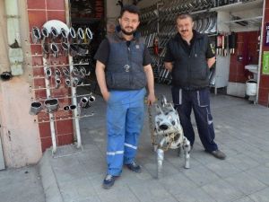 Egzozcunun Meslek Aşkı