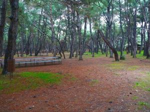 İzmir’e Devasa Piknik Alanı
