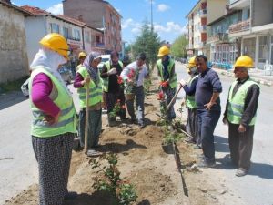Pazarlar’da Cadde Ve Sokaklar Çiçek Açtı