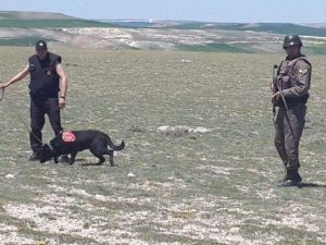 Yozgat Jandarmanın İz Takip Köpek Timi Babasını Öldüren Zanlıyı Yakaladı