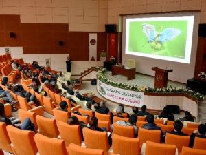 Gümüşhane’de 14 Ülkeden Daha Fazla Kelebek Çeşidi Var