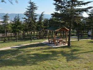 Körfez’in Çehresi Değişiyor