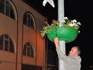 Niksar’da Caddeler Sardunya İle Renklendi