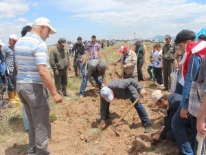 Beyşehir’de Fidan Dikme Etkinliği
