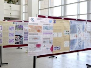 ESOGÜ’de Biyoloji Çözümlemeleri Etkinlik Sergisi Açıldı