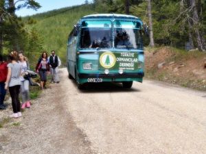 “Çatacık Ormanları Doğa Yürüyüşü” Etkinliği