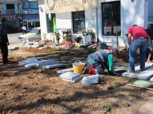 Akçakoca’da Peyzaj Düzenleme Çalışmaları Yoğunluk Kazandı