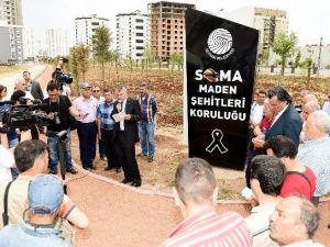 Seyhan’da 301 Şehit Madencinin Anısına 301 Fidan Dikildi