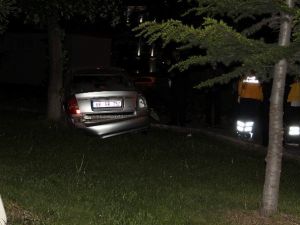 Yoldan Çıkan Otomobil Parka Girdi