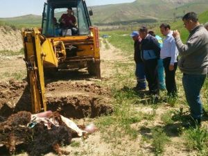 Pursaklar Zabıtasından Kaçak Kesim Operasyonu