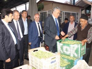 MHP Milletvekili Günal’dan Hal Esnafına Müjde