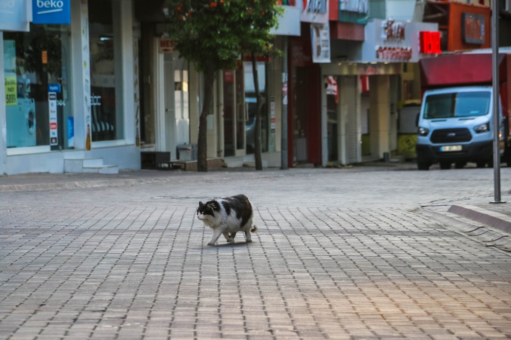 Nazilli'de koronavirüs sessizliği 2