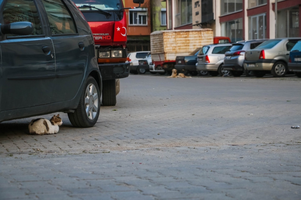 Nazilli'de koronavirüs sessizliği 23