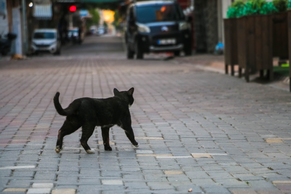 Nazilli'de koronavirüs sessizliği 33