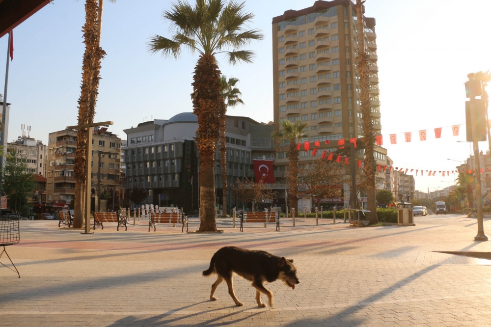 Nazilli'de koronavirüs sessizliği 68