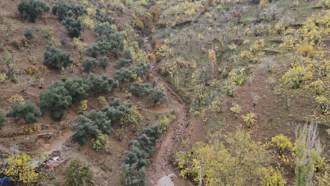 Başkan Özcan’dan afet bölgelerine anında müdahale 9