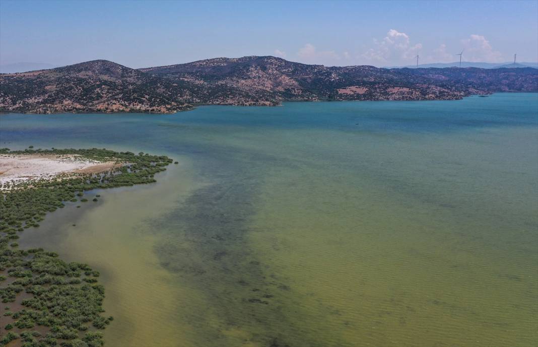 Bafa Gölü eski haline döndü 11