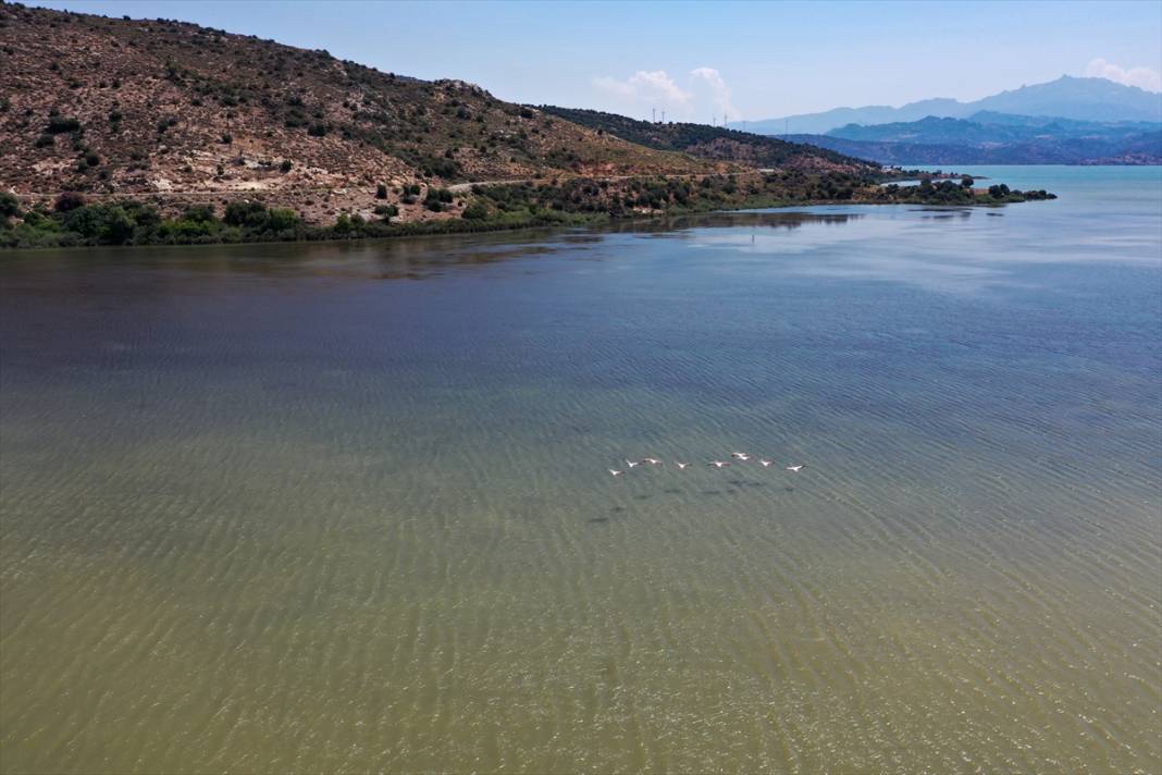 Bafa Gölü eski haline döndü 13