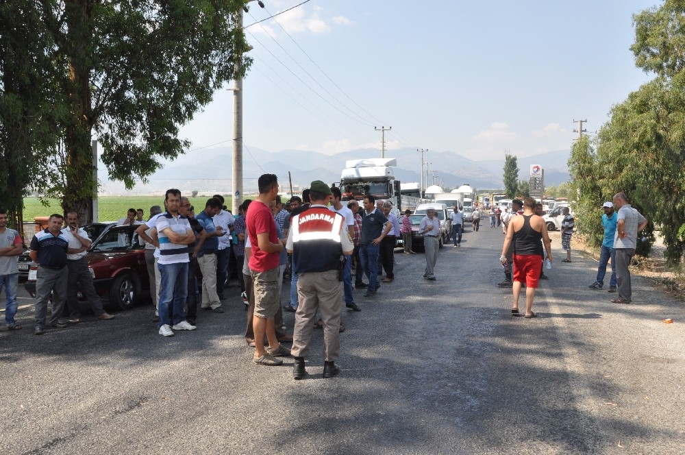 NAZİLLİ’DE 5 ADET SAVUNMA TİPİ EL BOMBASI BULUNDU 10