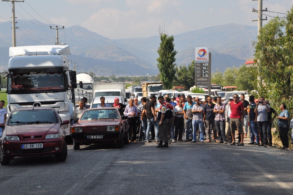 NAZİLLİ’DE 5 ADET SAVUNMA TİPİ EL BOMBASI BULUNDU 14