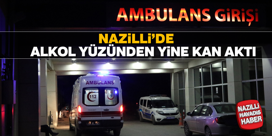 Nazilli'de alkol sefası kanlı bitti