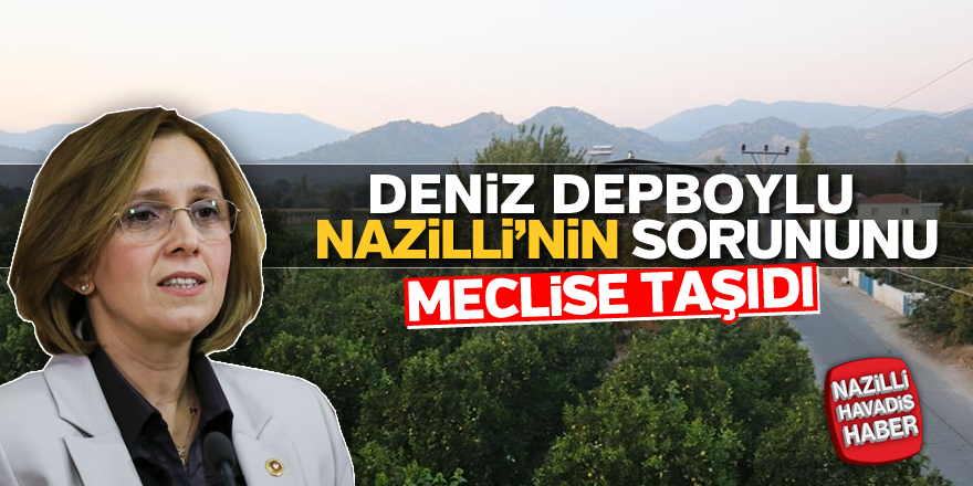 Deniz Depboylu Nazilli'nin sorununu meclisi taşıdı