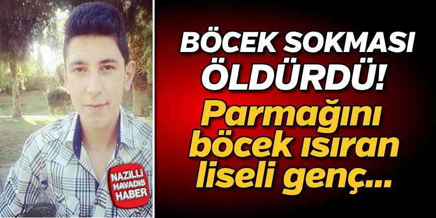 Böcek ısırığı hayatını söndürdü