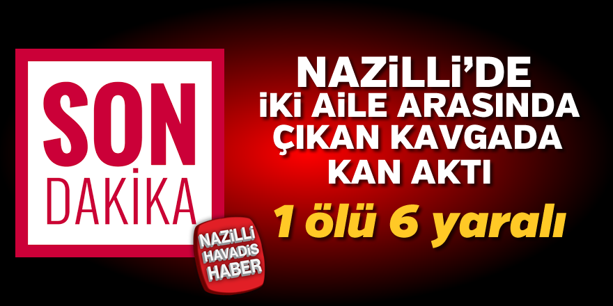 Nazilli'de iki aile arasında çıkan kavgada kan aktı