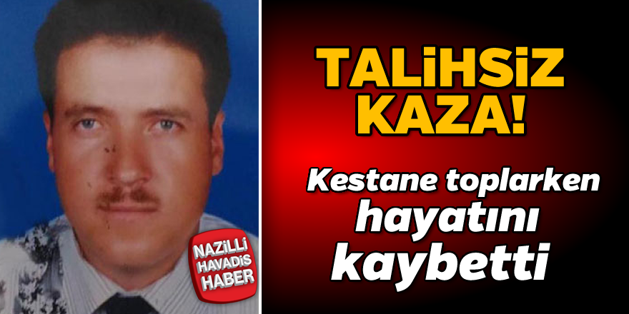 Talihsiz kaza!