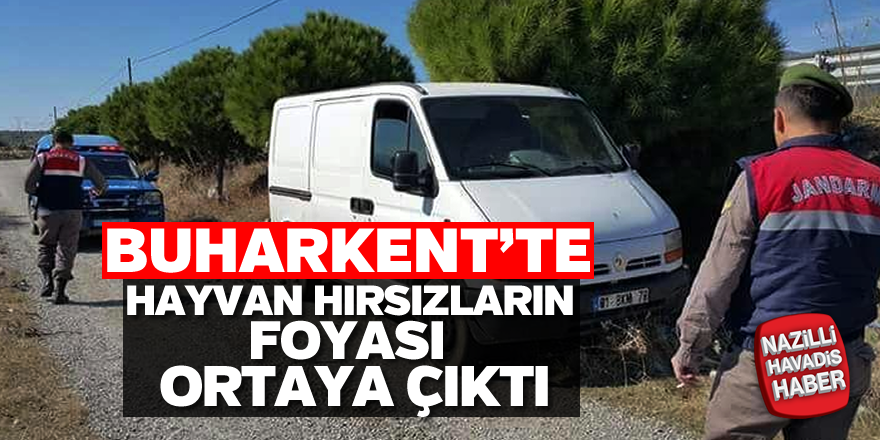 Buharkent'te hayvan hırsızları yakayı ele verdi