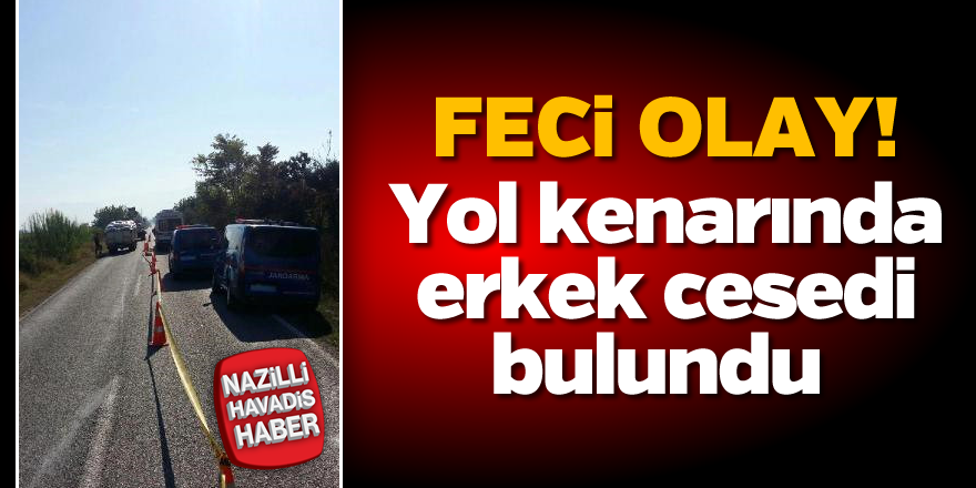 Yol kenarında erkek cesedi bulundu