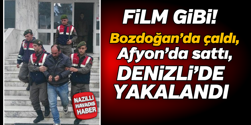 Bozdoğan'da çaldı,Denizli'de yakalandı!