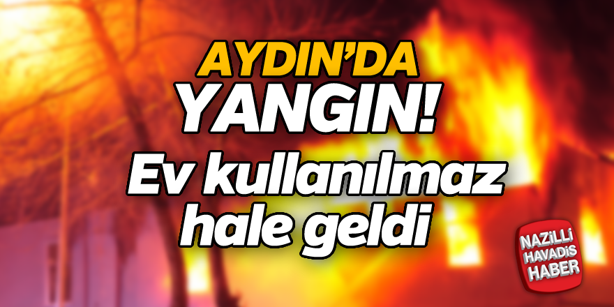 Aydın'da yangın!