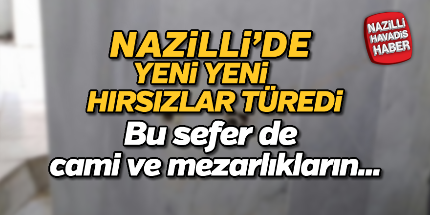 Nazilli'de yeni hırsızlar türedi