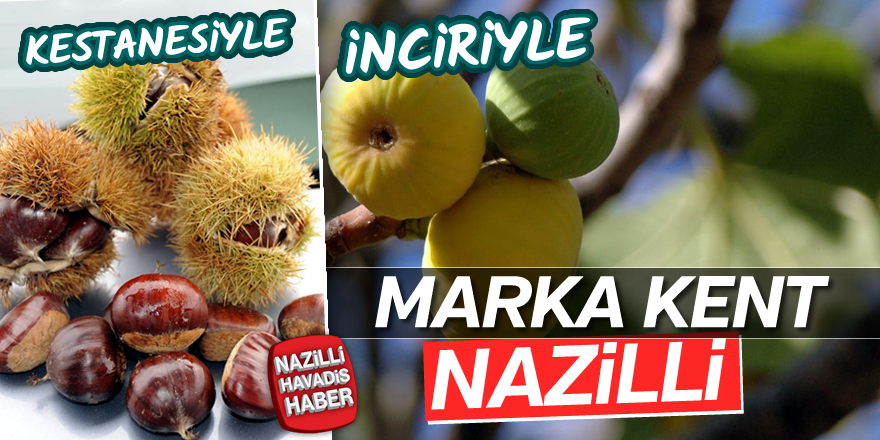 Kestane ve inciriyle marka kent: NAZİLLİ