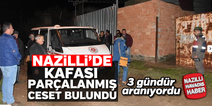 Nazilli'de kafası parçalanmış ceset bulundu