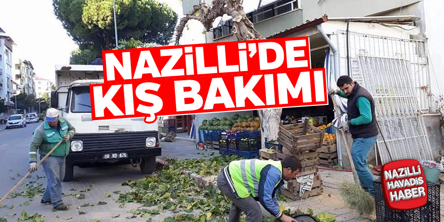 Nazilli'de kış bakımı