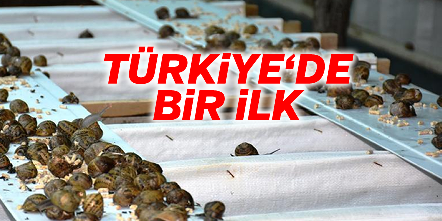 Türkiye'de Bir İlk Aydın'da Gerçekleşti