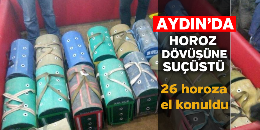 Aydın'da suçüstü yakalandılar