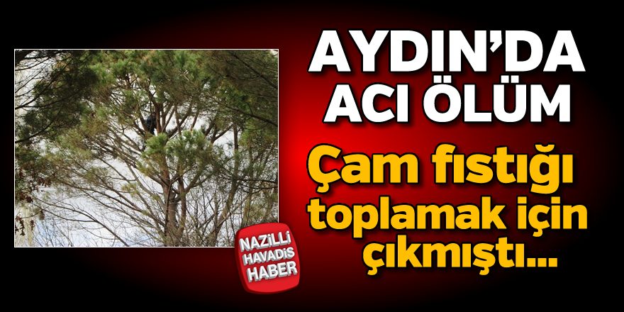 Aydın'da acı ölüm