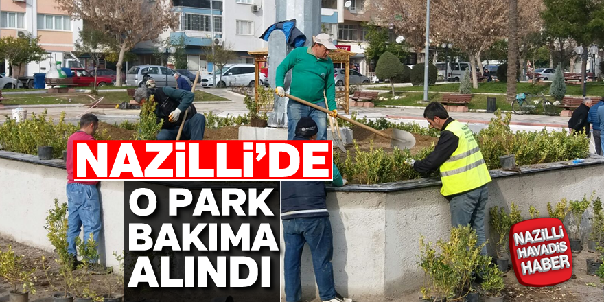 Nazilli'de o park bakıma alındı