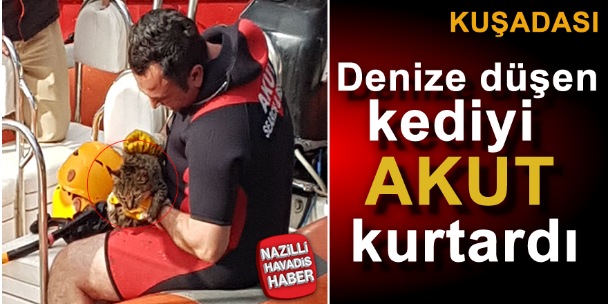 Denize düşen kediyi AKUT kurtardı