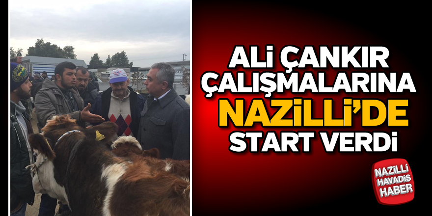 Ali Çankır, Nazilli'de sahaya indi