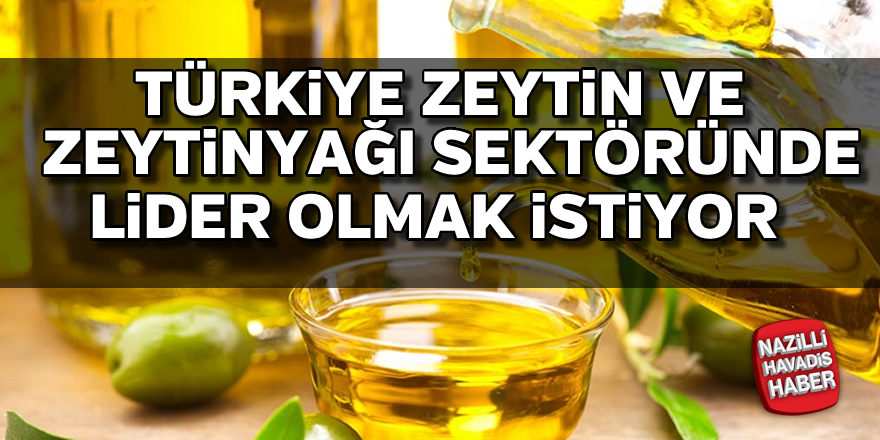 Türkiye zeytin ve zeytinyağı sektöründe lider olmak istiyor