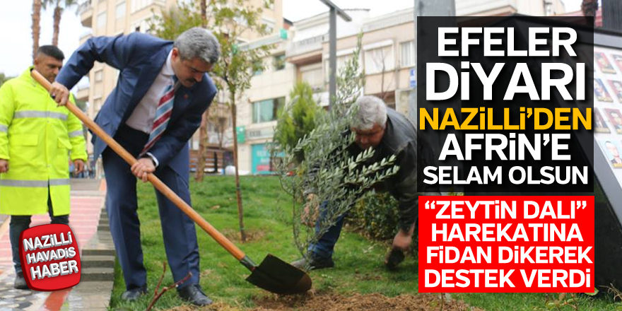 "Zeyin Dalı" harekatına fidan dikerek destek verdi