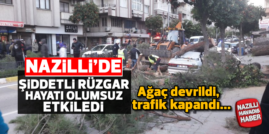 Nazilli'de şiddetli rüzgar hayatı olumsuz etkiledi