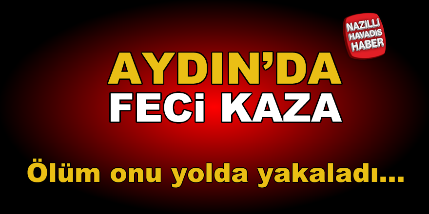 Yolun karşısına geçemedi